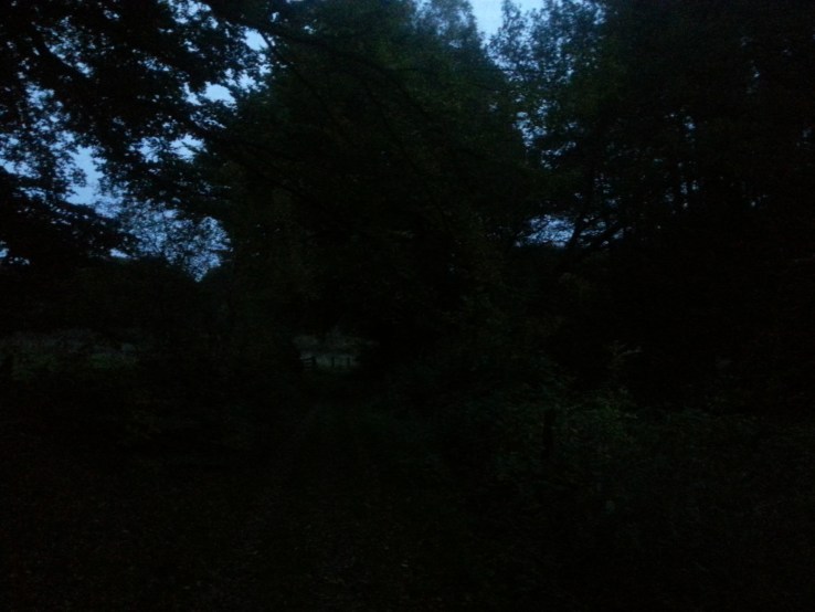 Haus Dunkelheit Advent Weihnachten