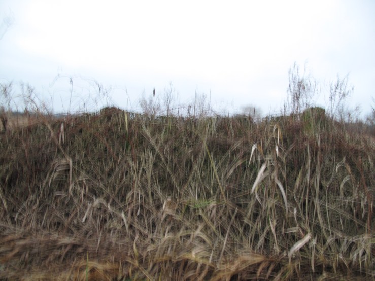 hurdle life Lebenshürden