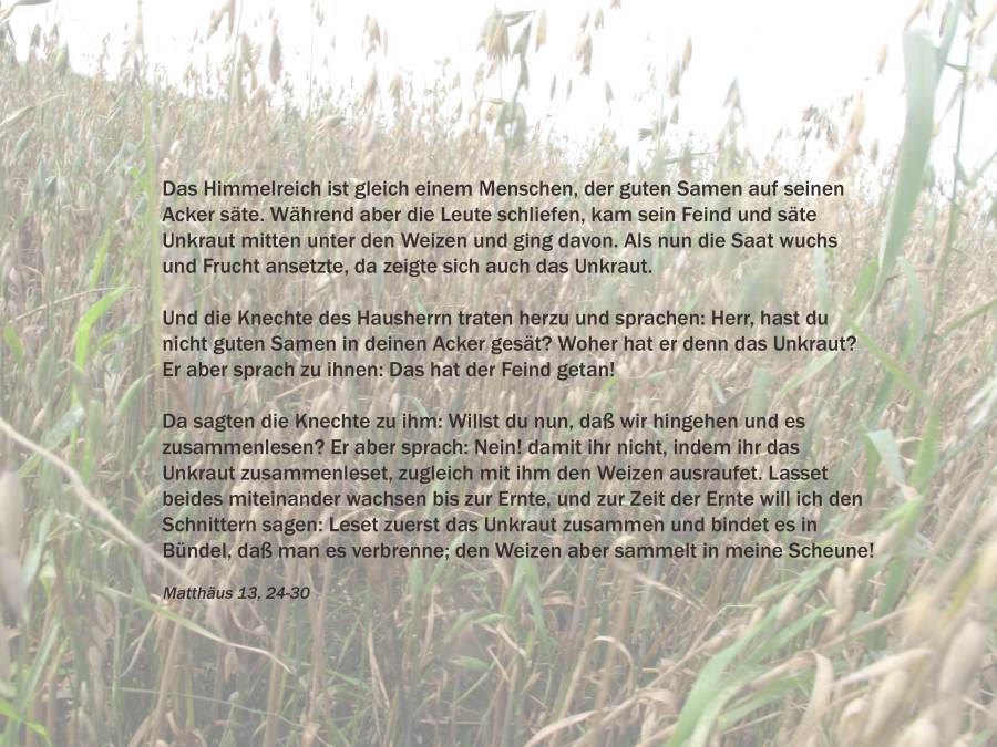 Mt 13, 24-30 Gleichnis vom Sämann