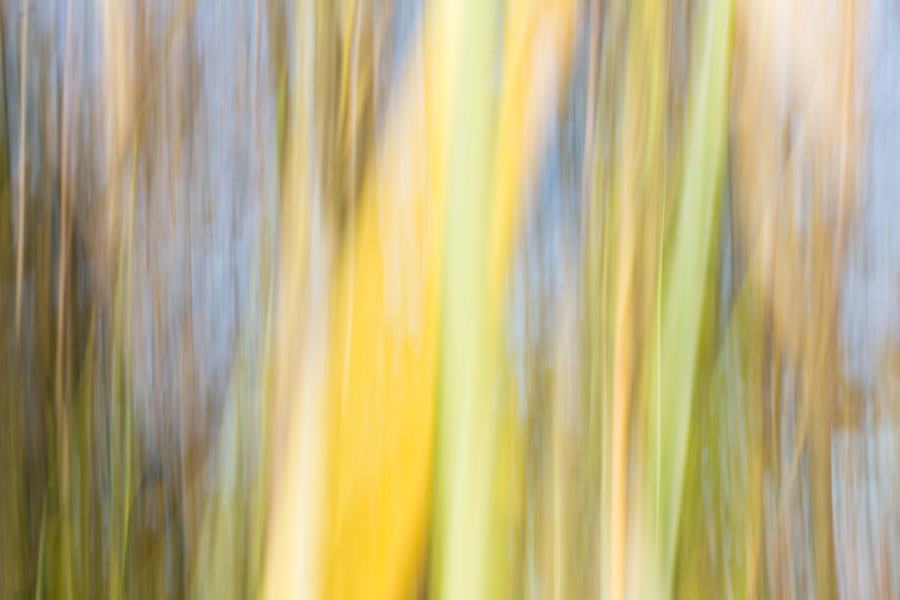 Gott ist kein Biedermann