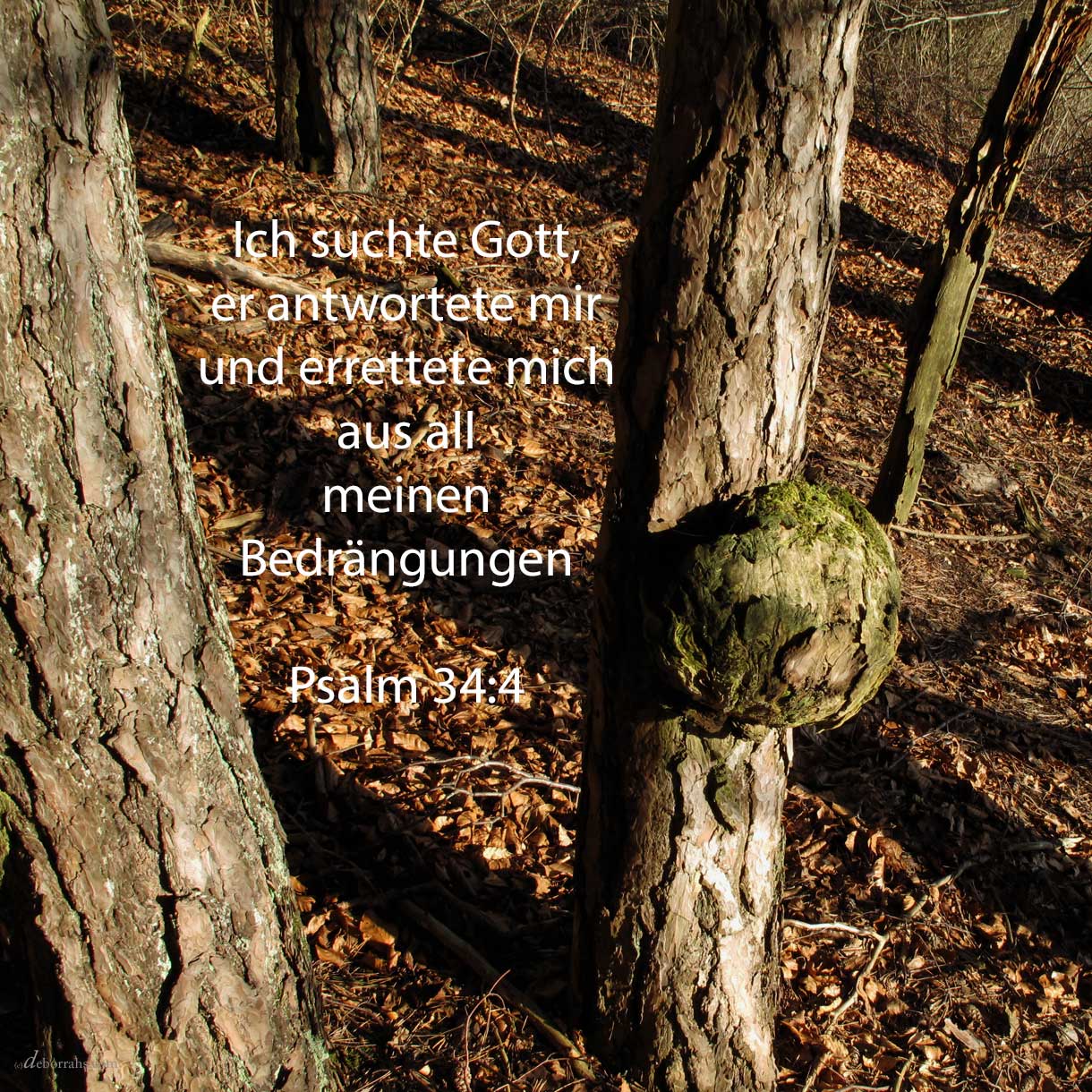  Ich suchte Gott und er antwortete mir; und aus allen meinen Beängstigungen errettete er mich ( Psalm 34,4 ) 