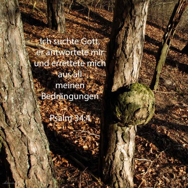 Ich suchte Gott und er antwortete mir; und aus allen meinen Beängstigungen errettete er mich ( Psalm 34,4 )