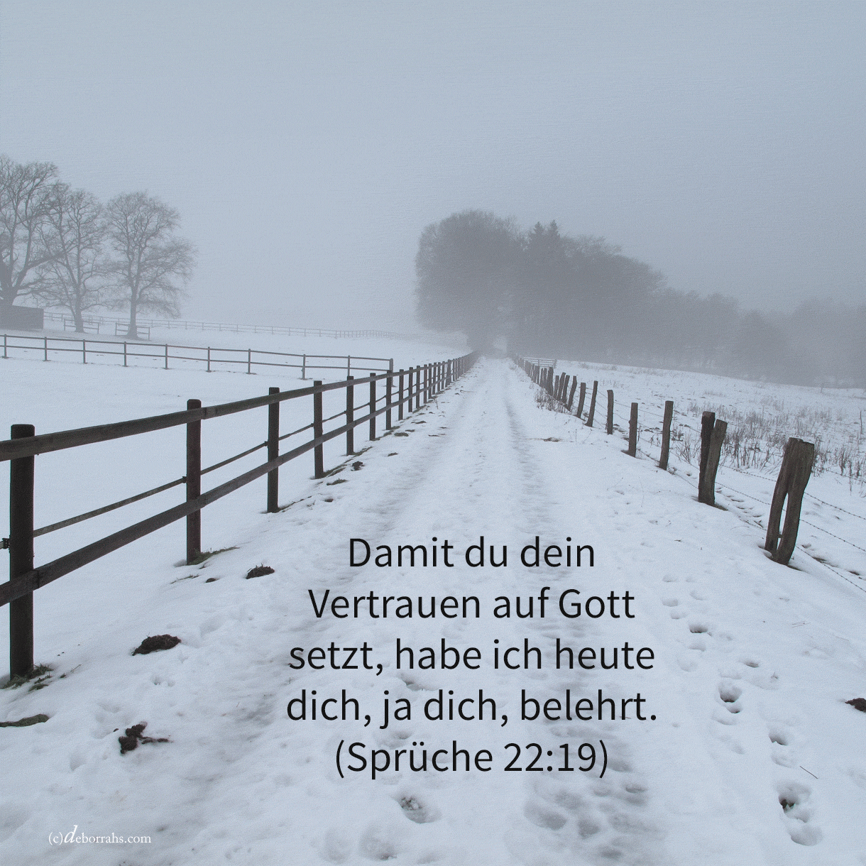 Damit dein Vertrauen auf Jehova sei, habe ich heute dich, da dich, belehrt ( Sprüche 22, 19 )
