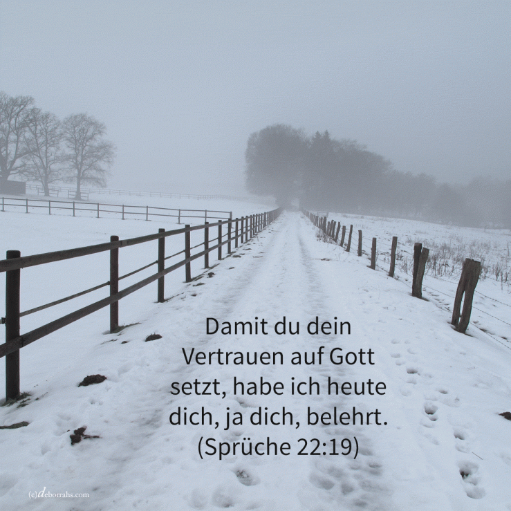 Damit dein Vertrauen auf Jehova sei, habe ich heute dich, da dich, belehrt ( Sprüche 22, 19 )