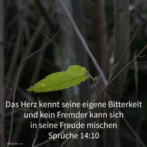 Das Herz kennt seine eigene Bitterkeit ( Sprüche 14, 10 )