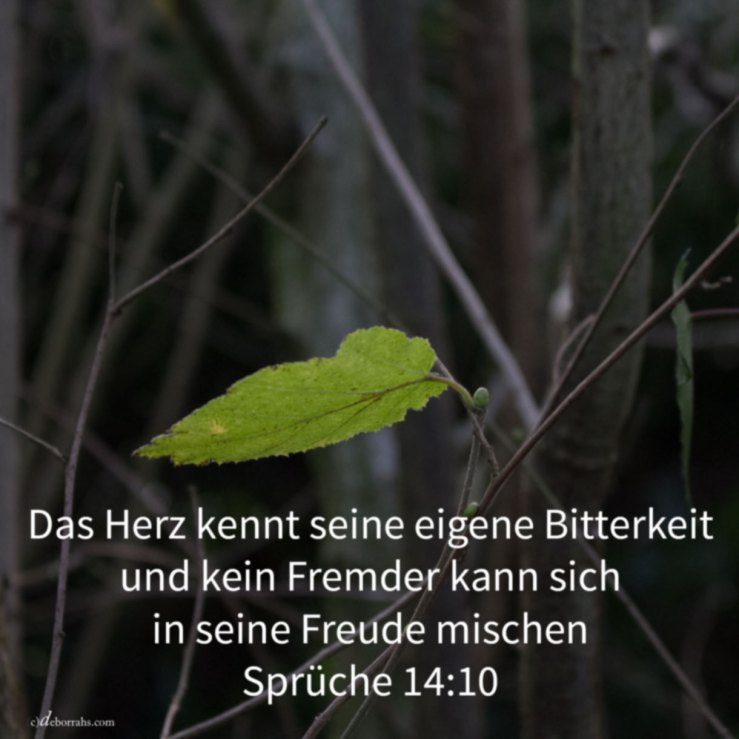 Das Herz kennt seine eigene Bitterkeit ( Sprüche 14, 10 )