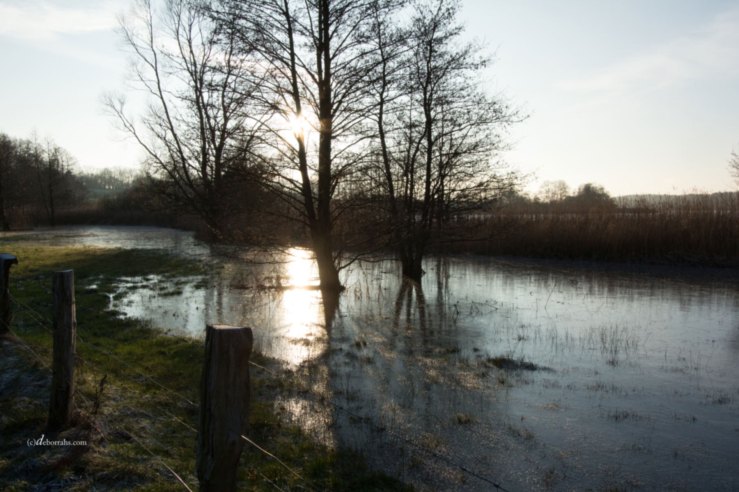 Sonnenuntergang im Januar