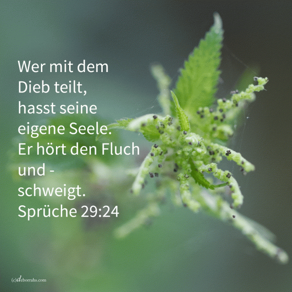 Wer mit dem Dieb teilt, hasst seine eigene Seele ( Sprüche 29,24)