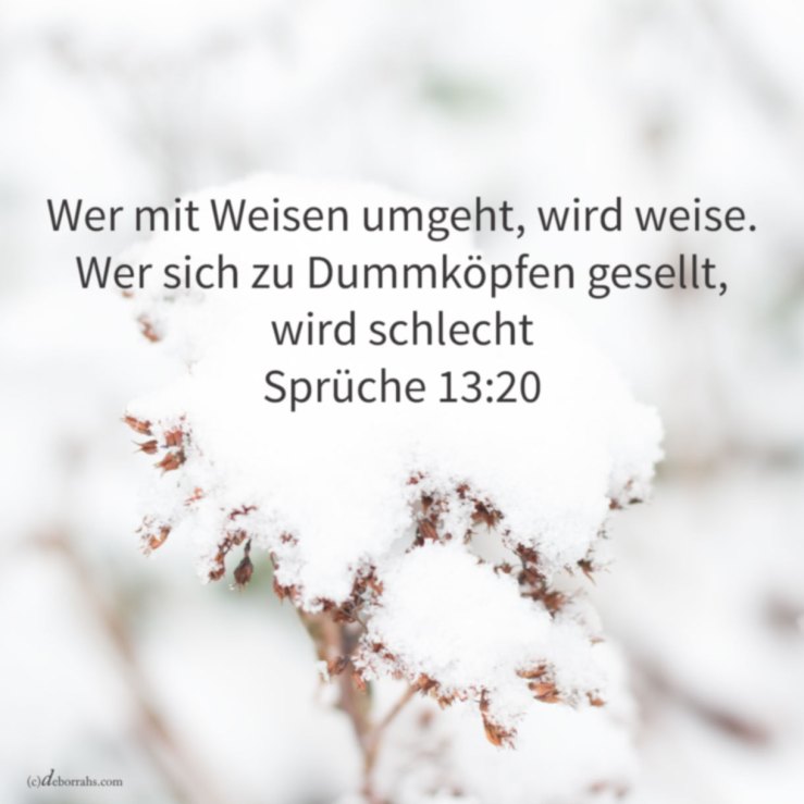Dummheit ist kein guter Ratgeber ( Sprüche 13, 20 )