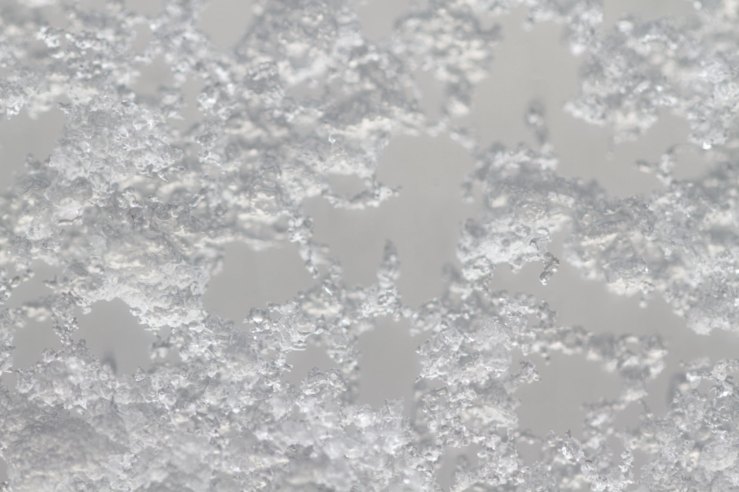 Entzug der Lehrerlaubnis Gerd Lüdemann