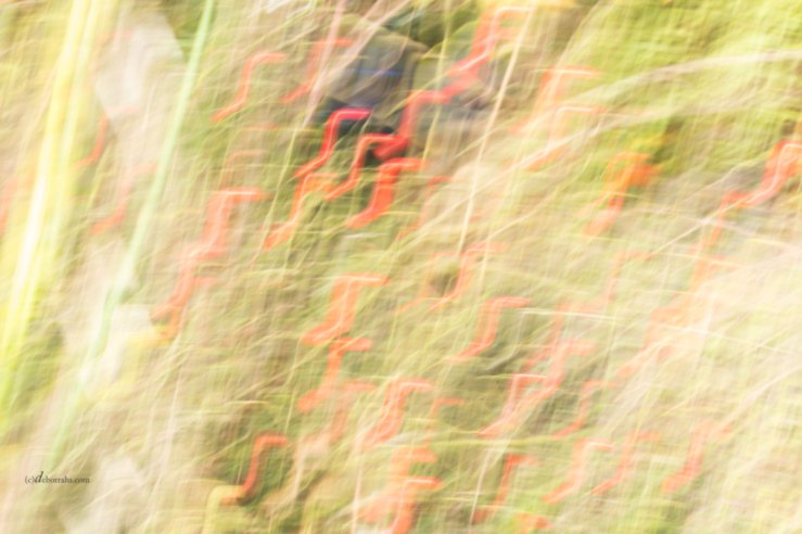 Ewige Weisheit Sprüche 8 ( Spr 8 )