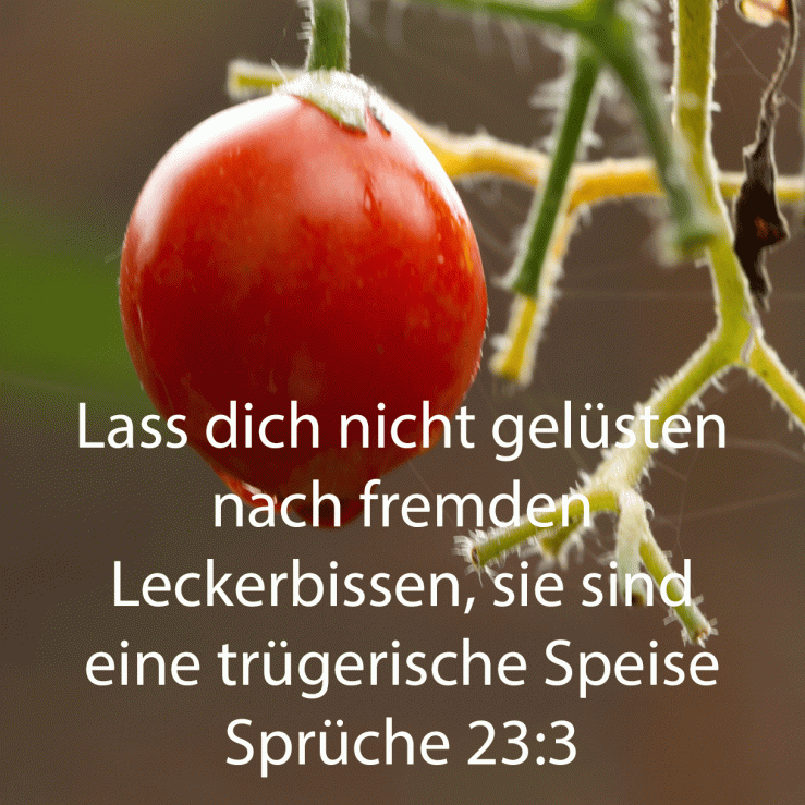 Fremde Leckerbissen sind trügersich ( Sprüche 23, 3 )