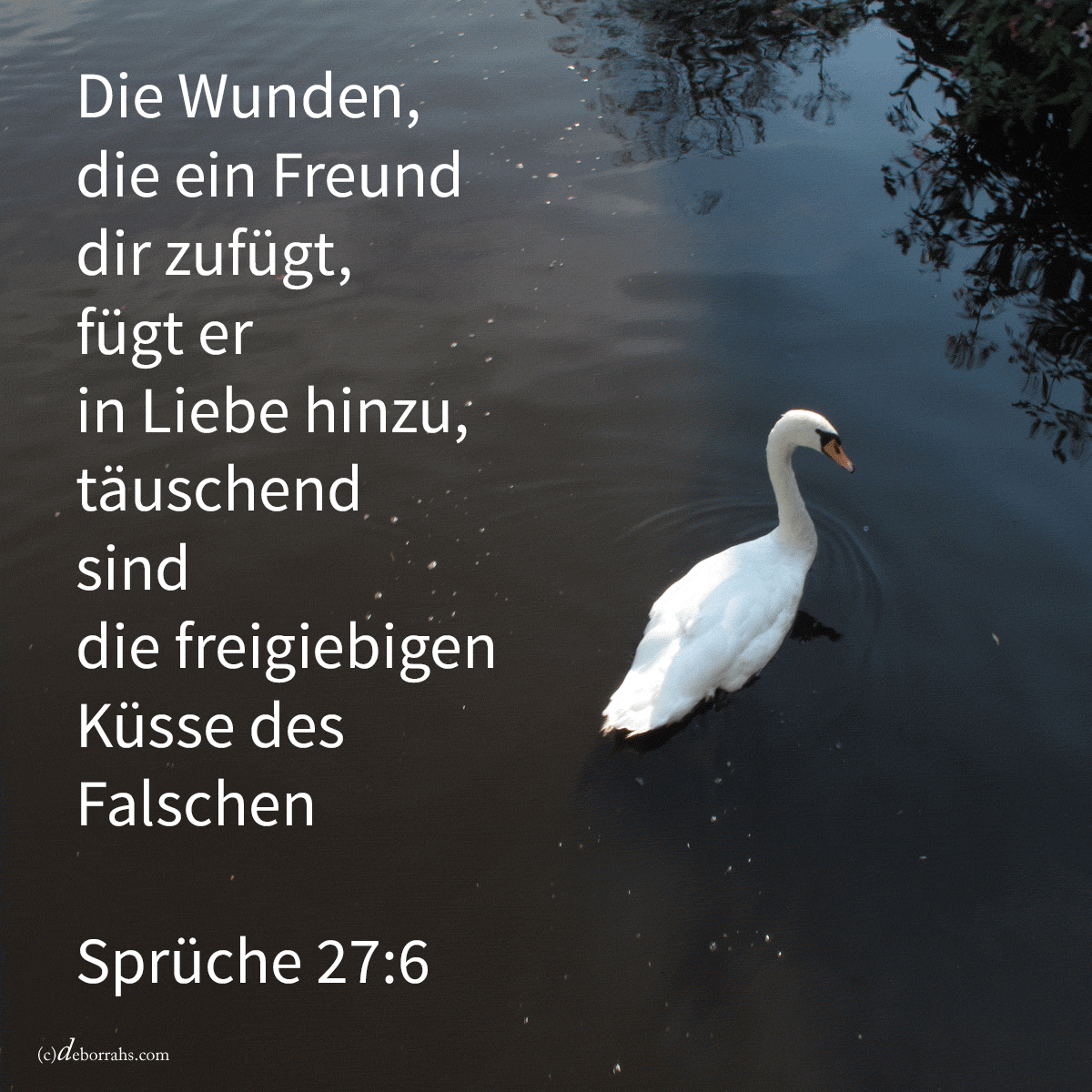  Treugemeint sind die Wunden dessen, der liebt, und überreichlich des Hassers Küsse ( Sprüche 27,6 )