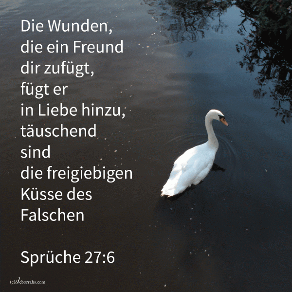 Treugemeint sind die Wunden dessen, der liebt, und überreichlich des Hassers Küsse ( Sprüche 27,6 )