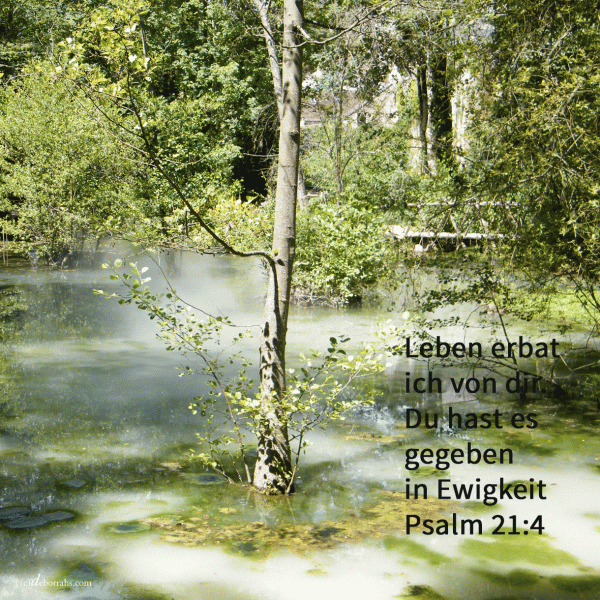 Leben erbat er von dir, du hast es ihm gegeben ( Psalm 21, 4 )