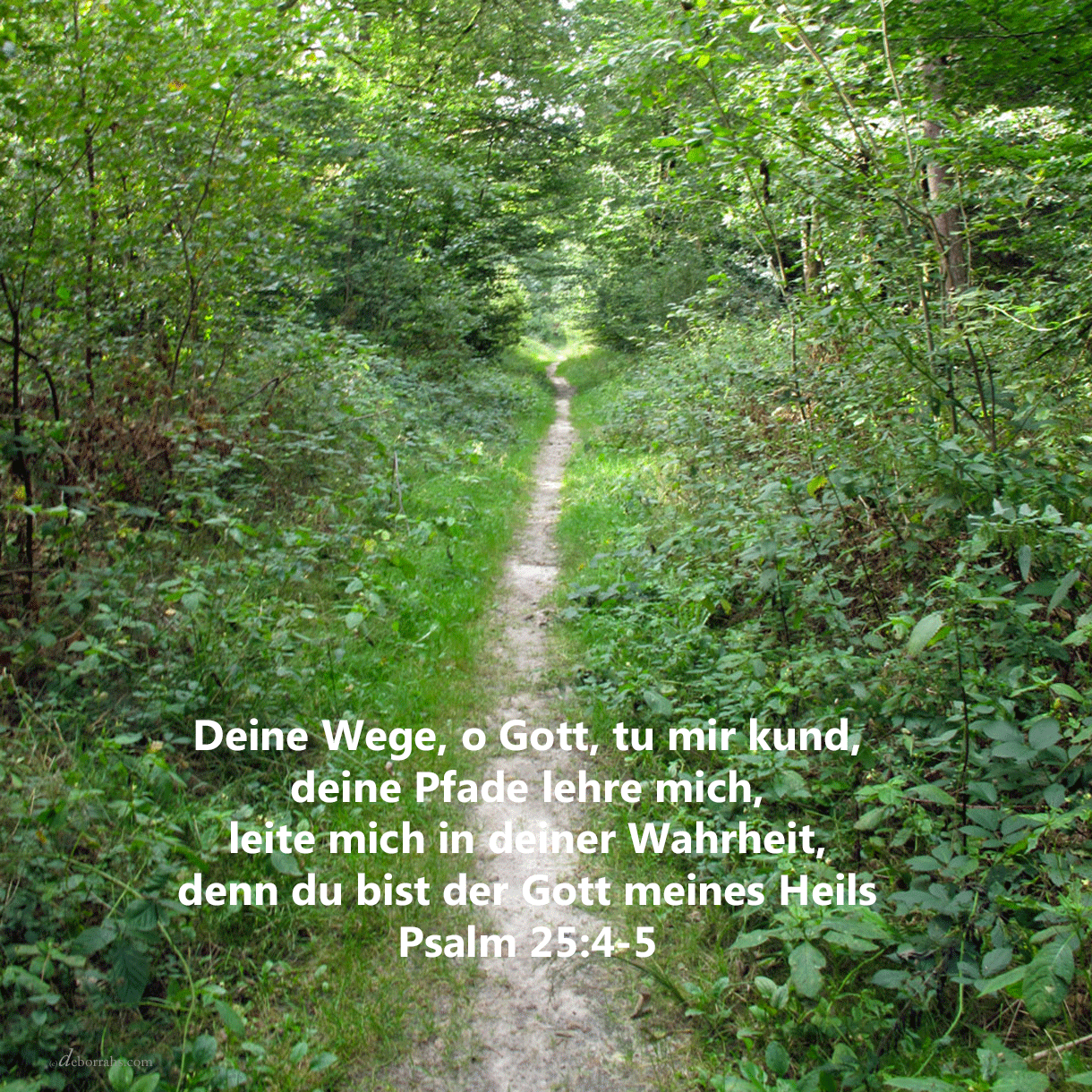 gottes pfade und wege( Psalm 25,4 )