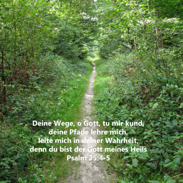 Deine Wege, o Gott, tu mir kund, deine Pfade lehre mich, leite mich in deiner Wahrheit ( Psalm 25, 4-5 )