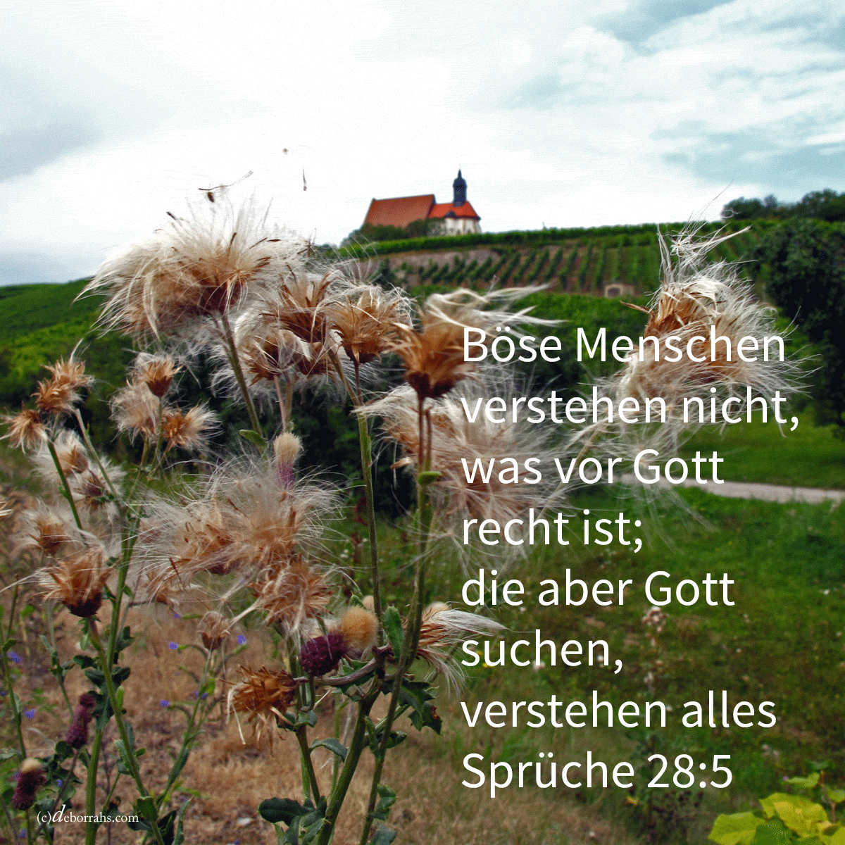  Böse Menschen verstehen das Recht nicht; die aber Jehova suchen, verstehen alles ( Sprüche 28,5 )