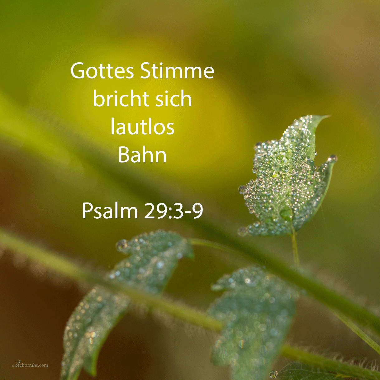 Die Stimme Jehovas ist auf den Wassern, der Gott der Herrlichkeit donnert ( Psalm 29, 3-9 )
