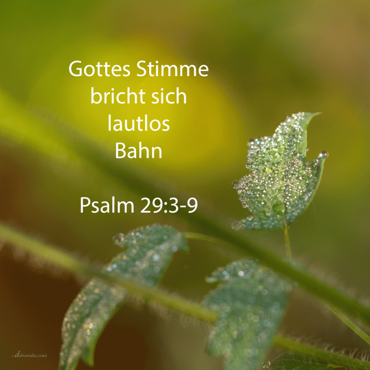 Die Stimme Jehovas ist auf den Wassern; die Stimme Jehovas ist gewaltig (Psalm 29, 3-9 )