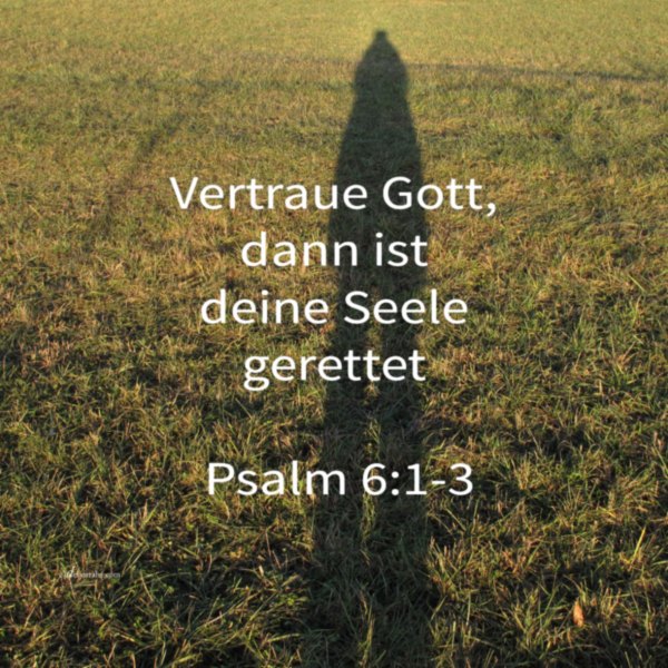 Vertraue Gott und deine Seele ist gerettet (Psalm 6)