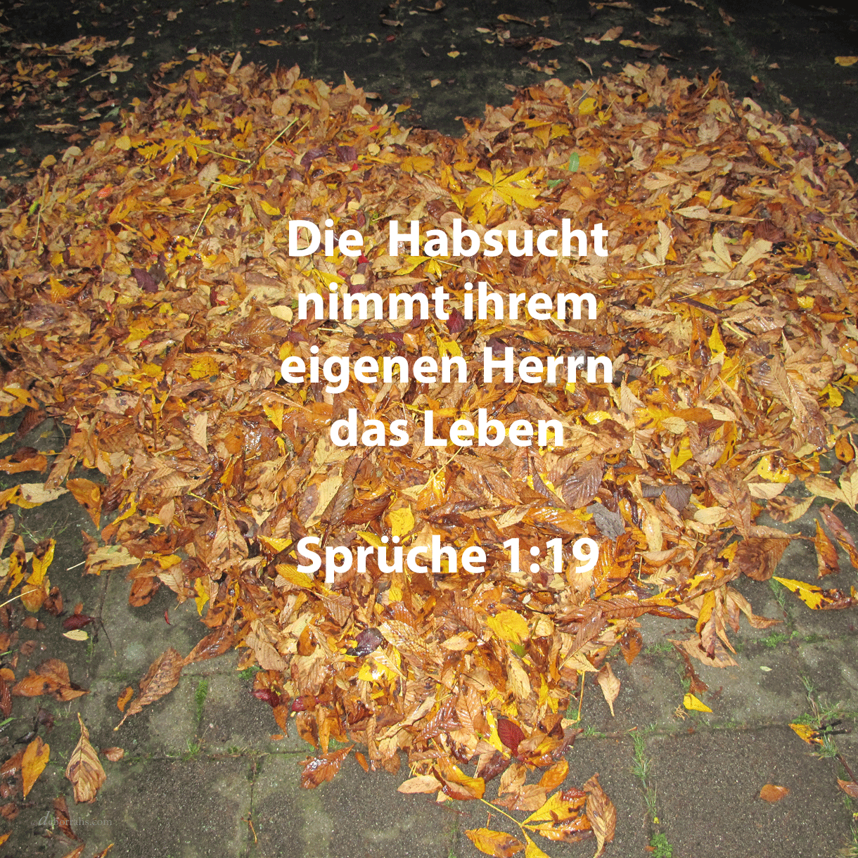  So sind die Pfade aller, die der Habsucht frönen: sie nimmt ihrem eigenen Herrn das Leben ( Sprüche 1:19 ) 