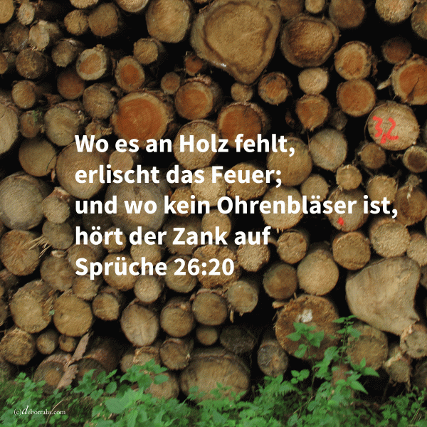 Wo es an Holz fehlt, erlischt das Feuer und wo kein Ohrenbläser ist, hört der Zank auf ( Sprüche 26, 20 )