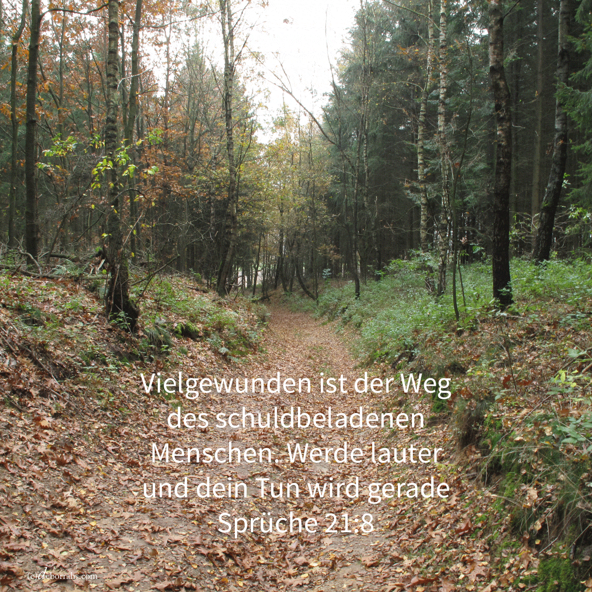 Vielgewunden ist der Weg des schuldbeladenen Menschen (Sprüche 21,8)