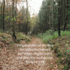 Vielgewunden ist der Weg des schuldbeladenen Menschen (Sprüche 21,8)