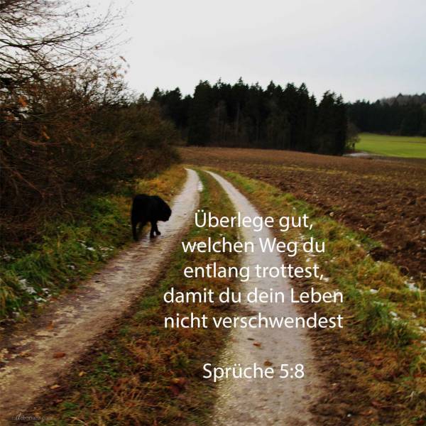 Halte fern von den Fremden deinen Weg, und nahe nicht zu der Tür ihres Hauses: damit du nicht anderen deine Blüte gebest, und deine Jahre den Grausamen (Sprüche 5,8-9)