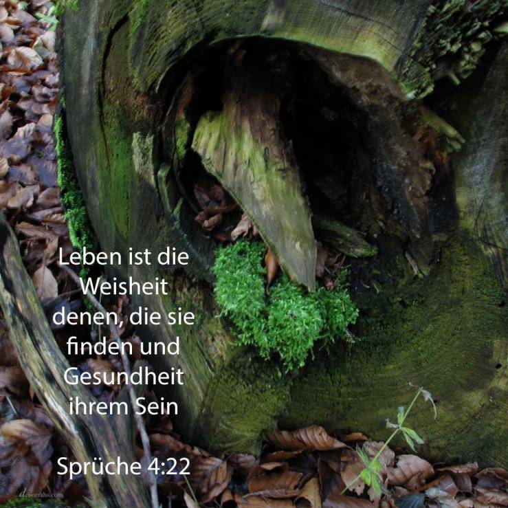 Leben ist die Weisheit denen, die sie finden, und Gesundheit ihrem ganzen Fleisch. Behüte dein Herz mehr als alles, was zu bewahren ist; denn von ihm sind die Ausgänge des Lebens (Sprüche 4,22-23)