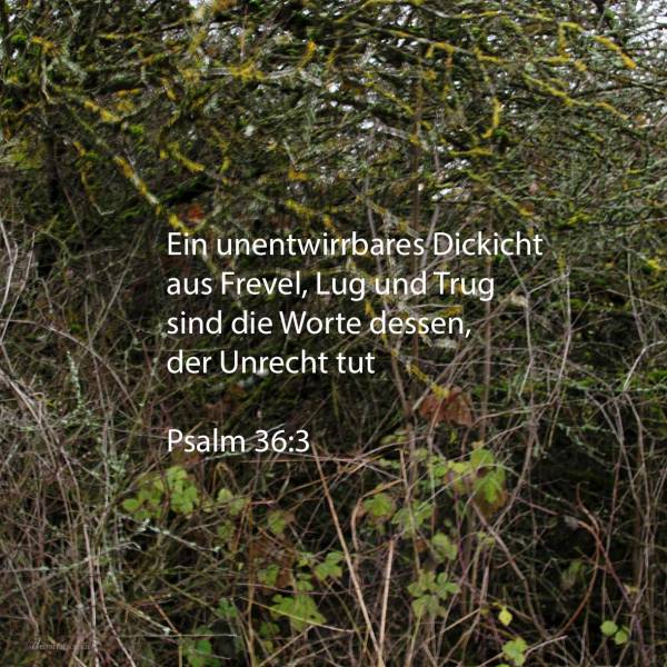 Frevel und Trug sind die Worte seines Mundes; er hat es aufgegeben, verständig zu sein, Gutes zu tun ( Psalm 36, 3 )