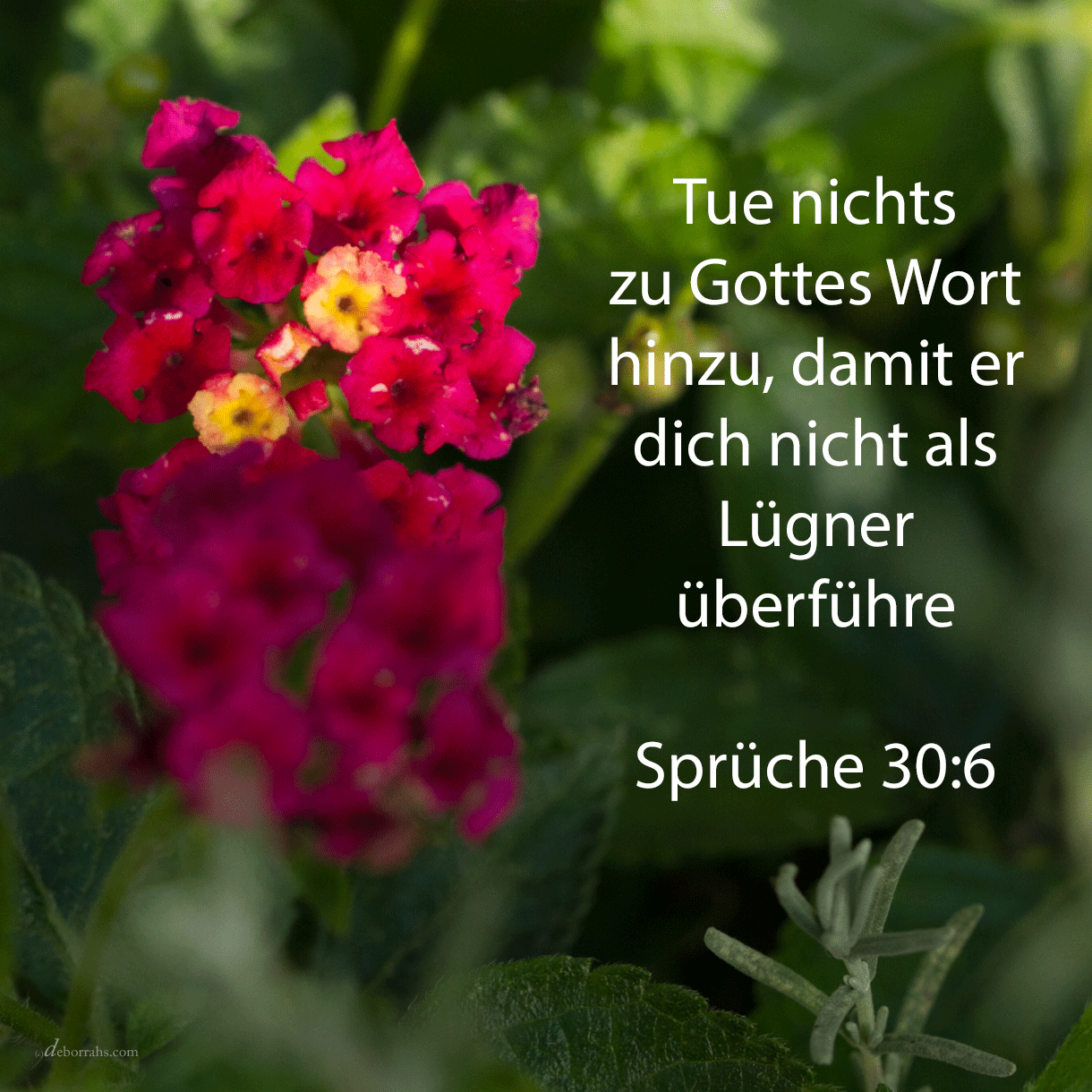 Wer ist hinaufgestiegen gen Himmel und wieder herniedergefahren? Wer hat den Wind in seine Fäuste gesammelt? ( Sprüche 30:4-6 )
