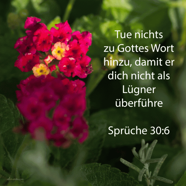 Wer ist hinaufgestiegen gen Himmel und wieder herniedergefahren? Wer hat den Wind in seine Fäuste gesammelt? ( prüche 30:4-6 )