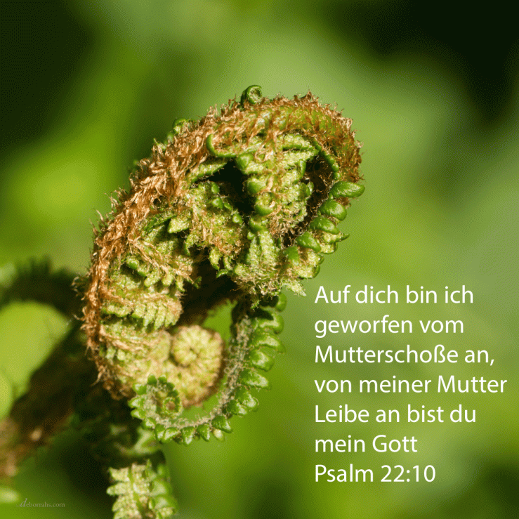 Auf dich bin ich geworfen vom Mutterschoße an ( Psalm 22, 10 )
