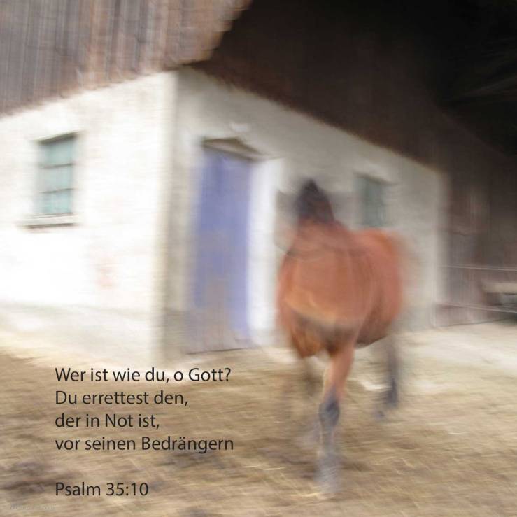 Alle meine Gebeine werden sagen: Gott, wer ist wie du! der du den Elenden errettest von dem, der stärker ist als er, und den Elenden und Armen von dem, der ihn beraubt ( Psalm 35,10 )