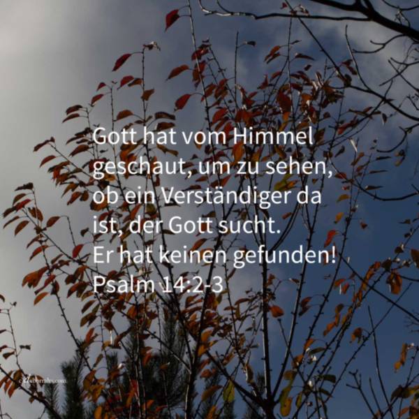 Alle sind abgewichen, das ist keiner der Gutes tut (Psalm 14, 2-3)