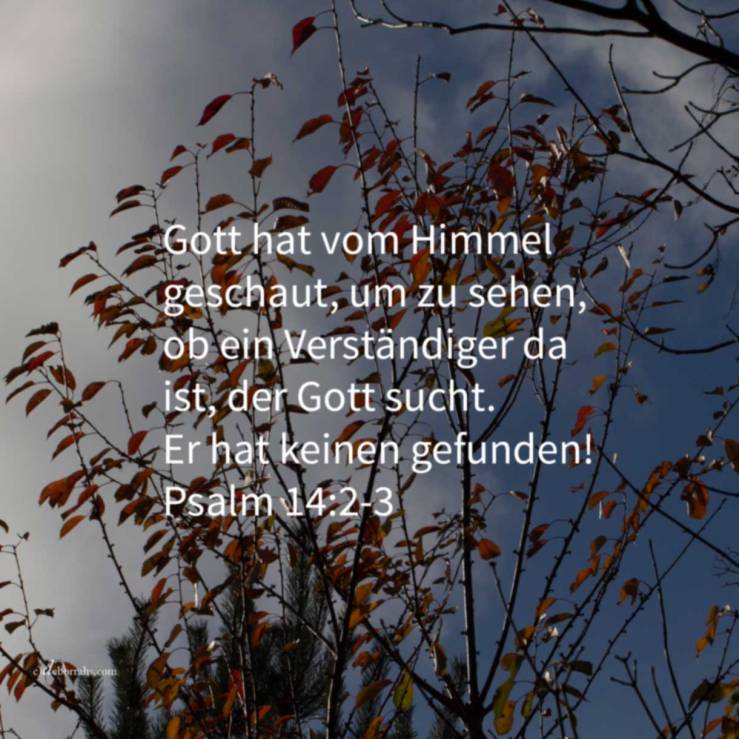 Alle sind abgewichen, das ist keiner der Gutes tut (Psalm 14, 2-3)