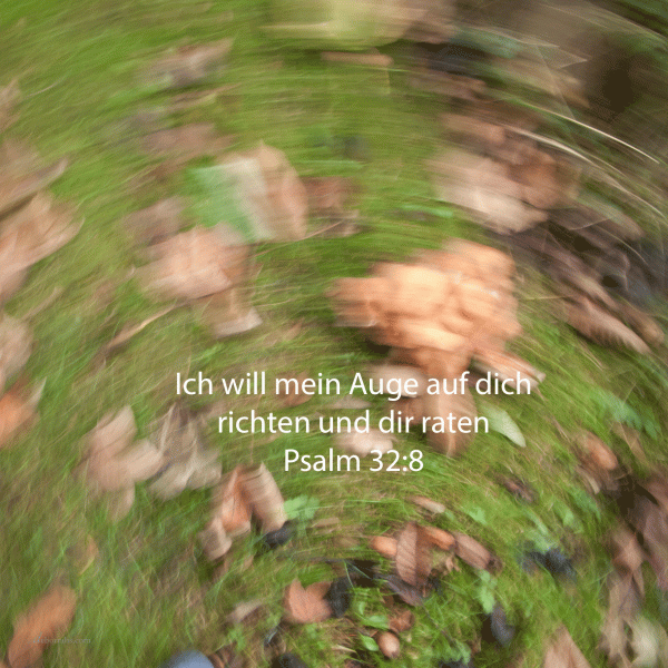 Ich will dich unterweisen und dich lehren den Weg, den du wandeln sollst ( Psalm 32, 8 )