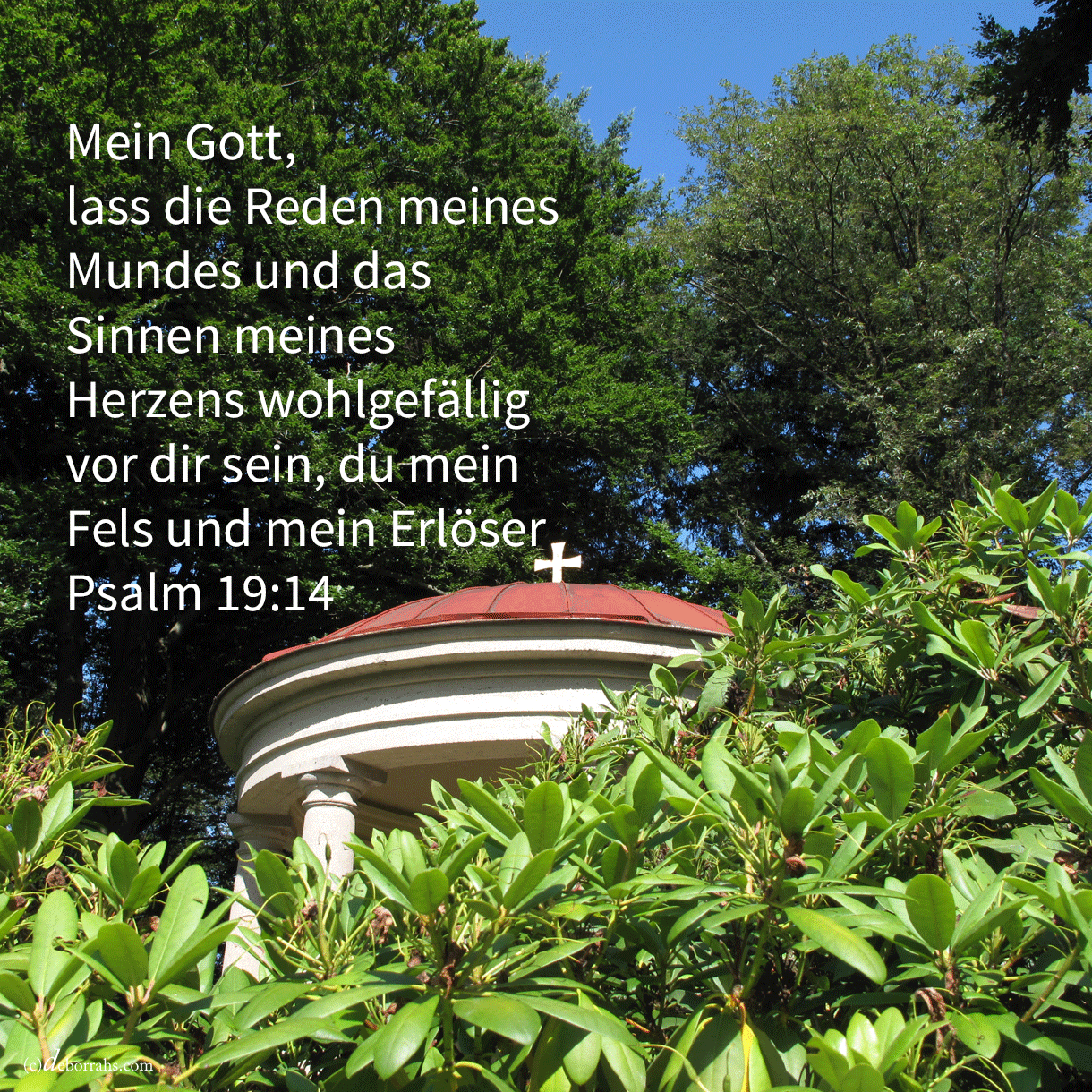 Lass die Reden meines Mundes und das Sinnen meines Herzen ( Psalm 19:14 )
