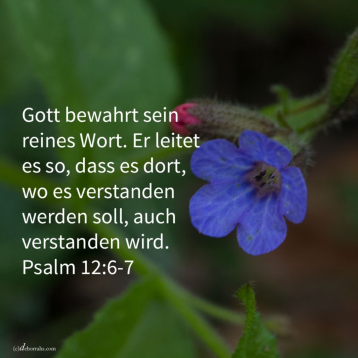 Die Worte Jehovas sind reine Worte ( Psalm 12, 6-7 )