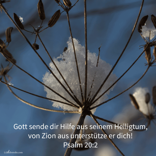 Gott sende dir Hilfe aus seinem Heiligtum (Psalm 20, 2)