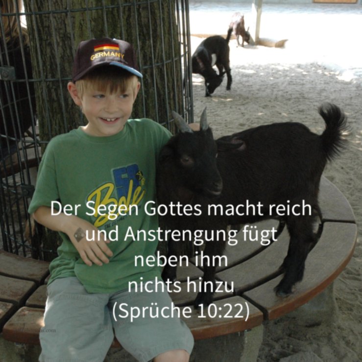 Segen macht reich ( Sprüche 10 (