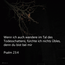 wenn ich schon wanderte im finsteren Tal ( Psalm 23, e )