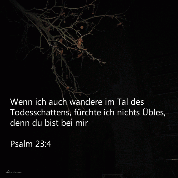 Wenn ich schon wanderte im finsteren Tal fürchte ich mich nicht ( Psalm 23,4 )