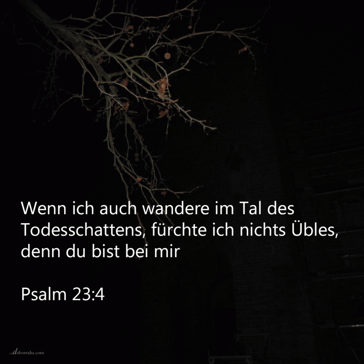 Wenn ich schon wanderte im finsteren Tal fürchte ich mich nicht ( Psalm 23,4 )