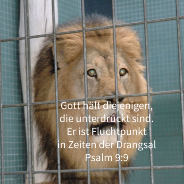 Gott ist mit uns in der Drangsal ( Psalm 9 )