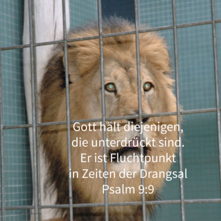 Gott ist mit uns in der Drangsal ( Psalm 9 )