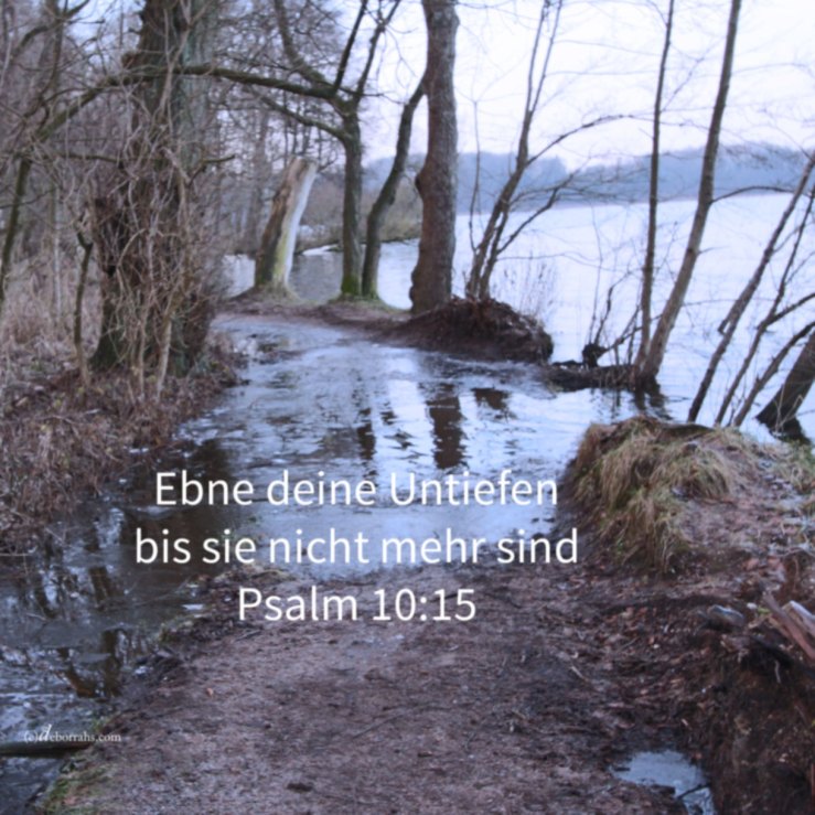 Der Böse suche seine Gesetzlosigkeit ( Psalm 10 )