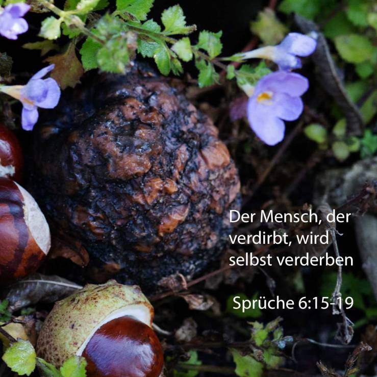 Darum wird plötzlich sein Verderben kommen; im Augenblick wird er zerschmettert werden ohne Heilung ( Sprüche 6, 15-19 )